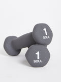 SOULCYCLE 1LB WEIGHTS